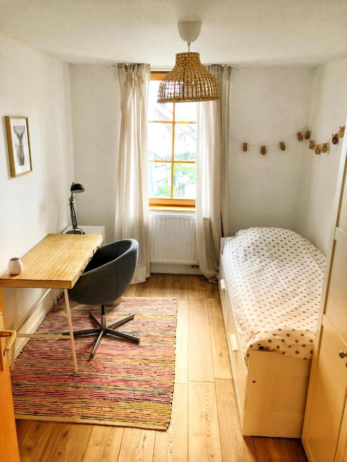 Charming apartment Basel border - 3 bedrooms Hegenheim Buitenkant foto