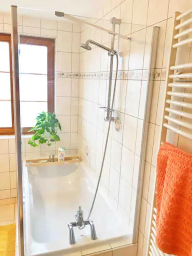 Charming apartment Basel border - 3 bedrooms Hegenheim Buitenkant foto