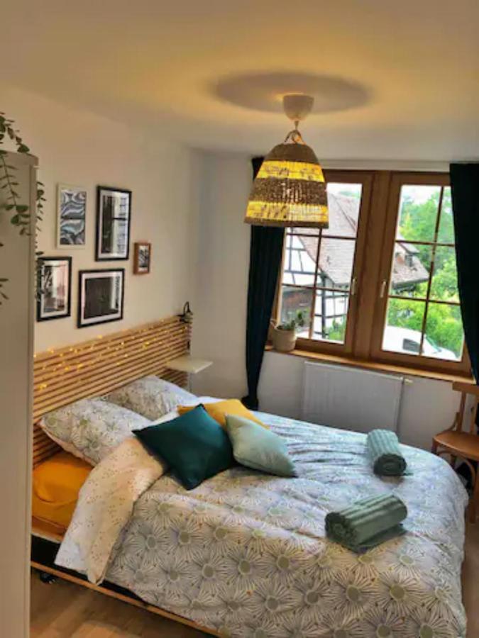 Charming apartment Basel border - 3 bedrooms Hegenheim Buitenkant foto